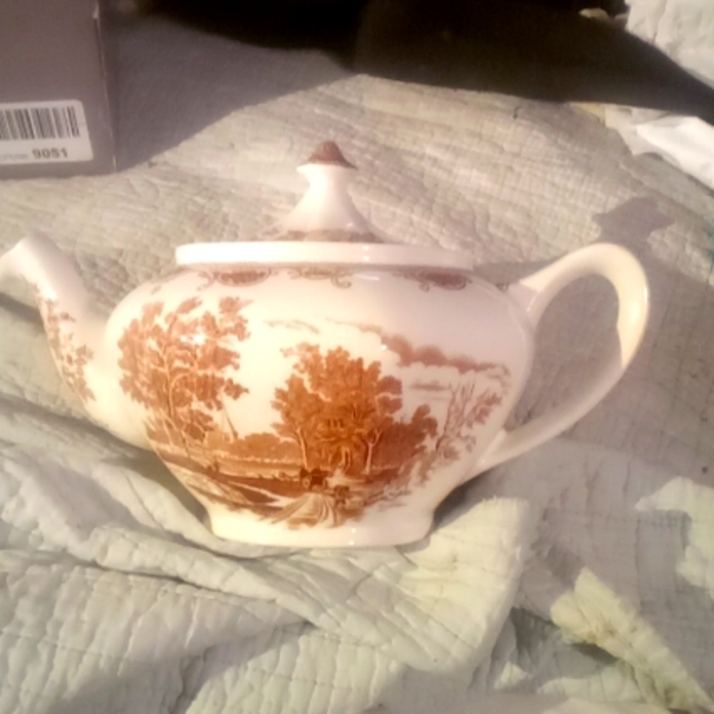 Royal Tudor Ware TeaPot (Brown Series) rare